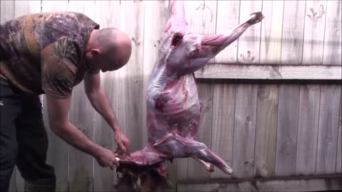 How to quarter a deer