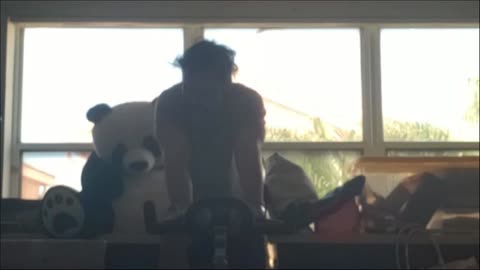 Panda entertainment 🐼