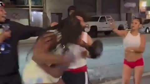 Fat monkey wins a fight