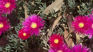 Shine ✨ Bright Powerful Beings!