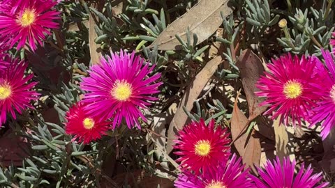 Shine ✨ Bright Powerful Beings!