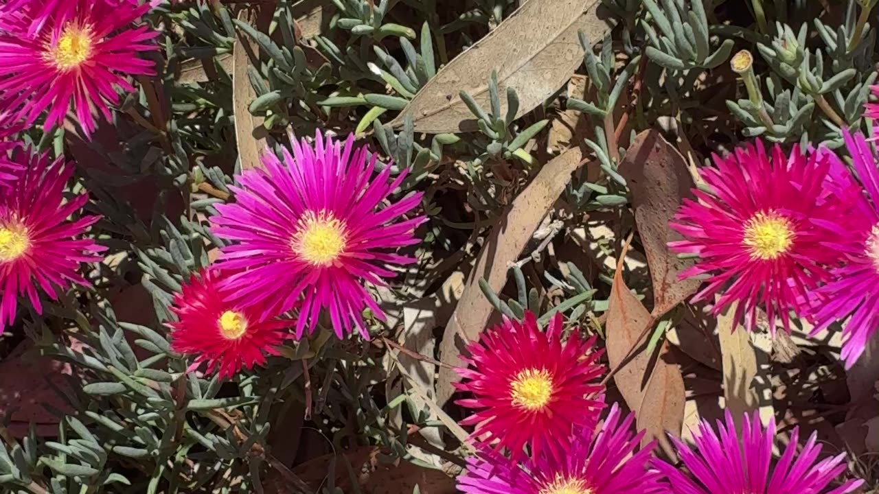 Shine ✨ Bright Powerful Beings!