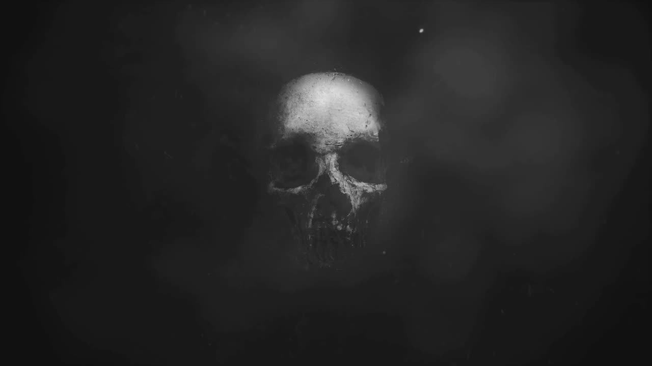 人類のはじまりはサハラから？45秒で解説