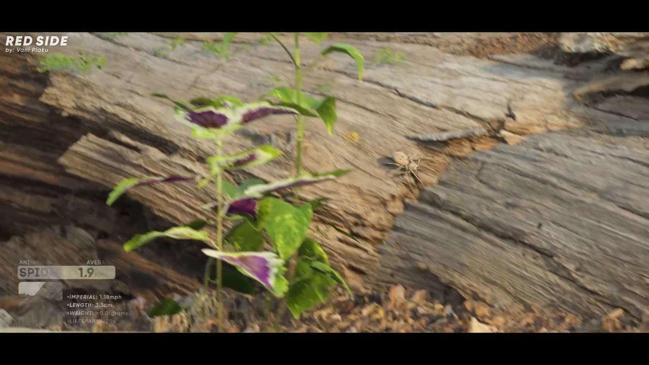 SPEED COMPARISON 3D | Animals 🦌