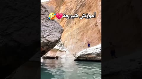 Funniest Videos on the Internet Today!