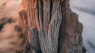 5. TIMELINE OF GIANT TREE / GIANT HUMAN EVIDENCE