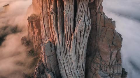 5. TIMELINE OF GIANT TREE / GIANT HUMAN EVIDENCE