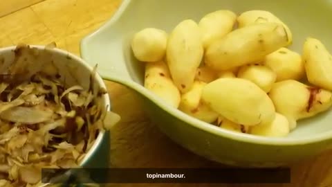 There’s a Root That Doubles the Harvest of Potatoes, Harvests for Decades, and Few Know About It