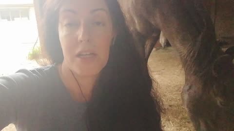 I'm making a COMEBACK! 💪💜⭐