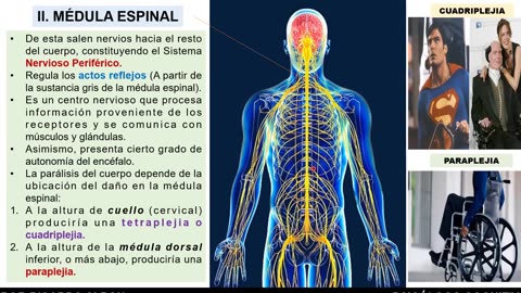 ADC SEMIANUAL 2023 | Semana 04 | Psicología