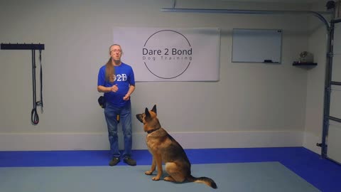 Dare2Bond Dog Training - Cue, Mark, Reward