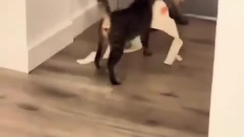 Nothing is off limits 🤣