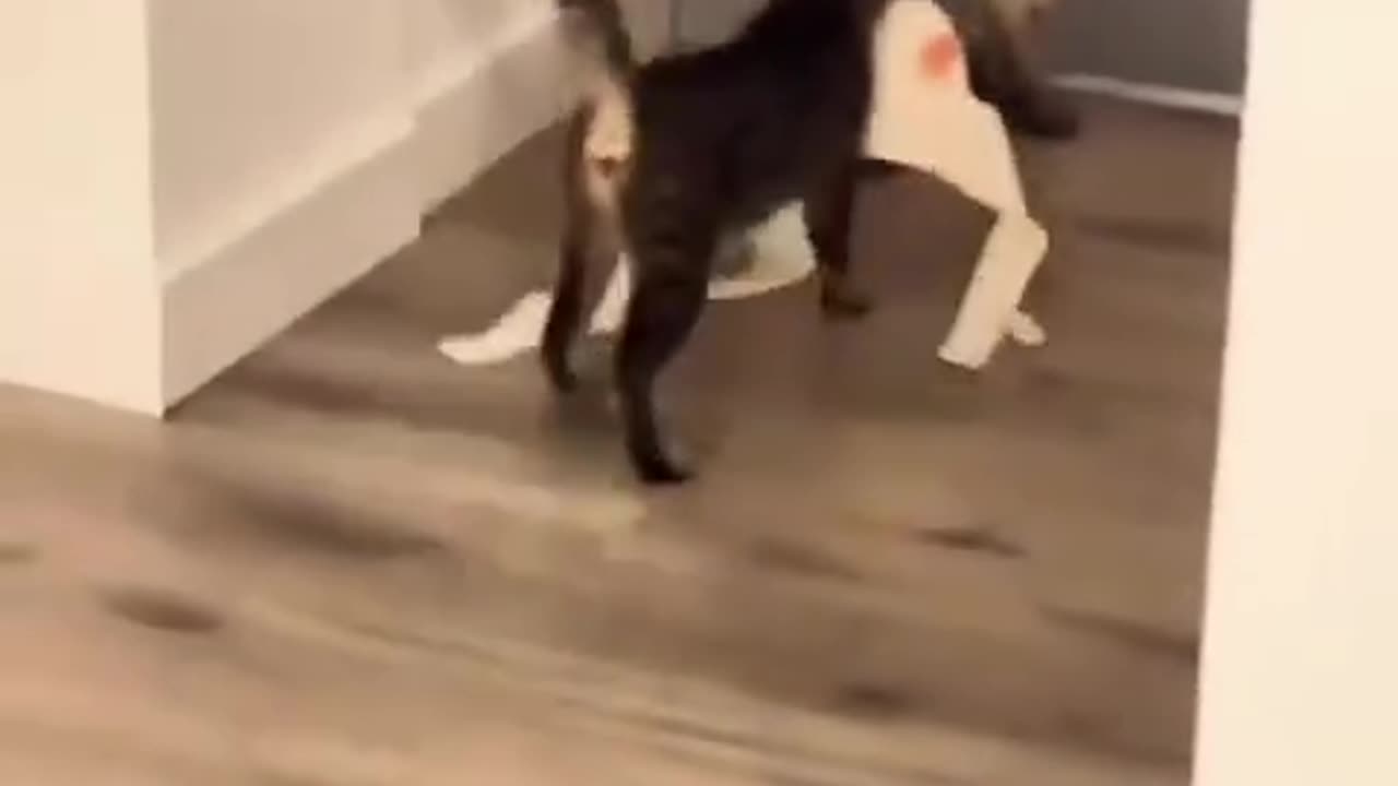 Nothing is off limits 🤣