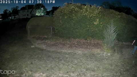 Tapo Dual Lens (C246D) RAW Video Footage