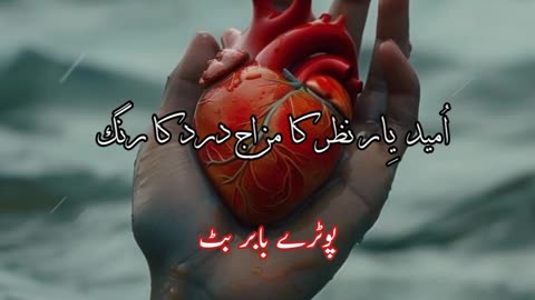 Omeed e yaar ... Urdu sad poetry shayari status #poetry