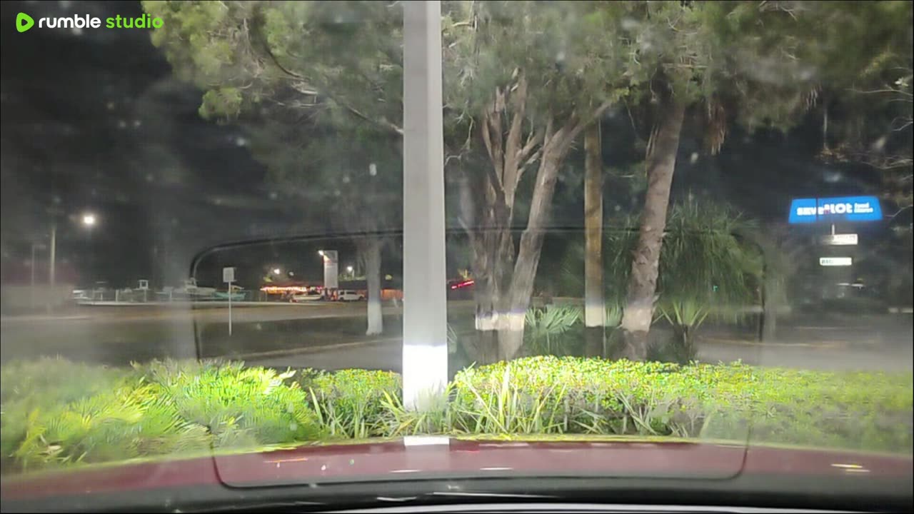 part 4 stream after the deer was hit