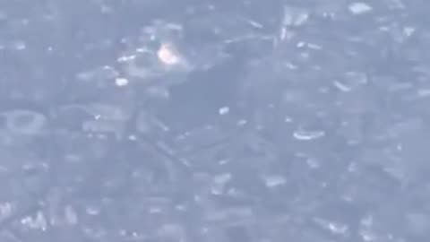 🎶🌌 Rammstein concert seen from the sky! | FeedMyCuriosity