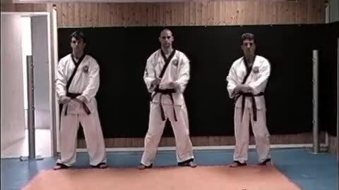 Sin Moo Hapkido