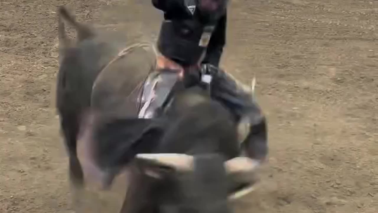 Bull Riding so difficult