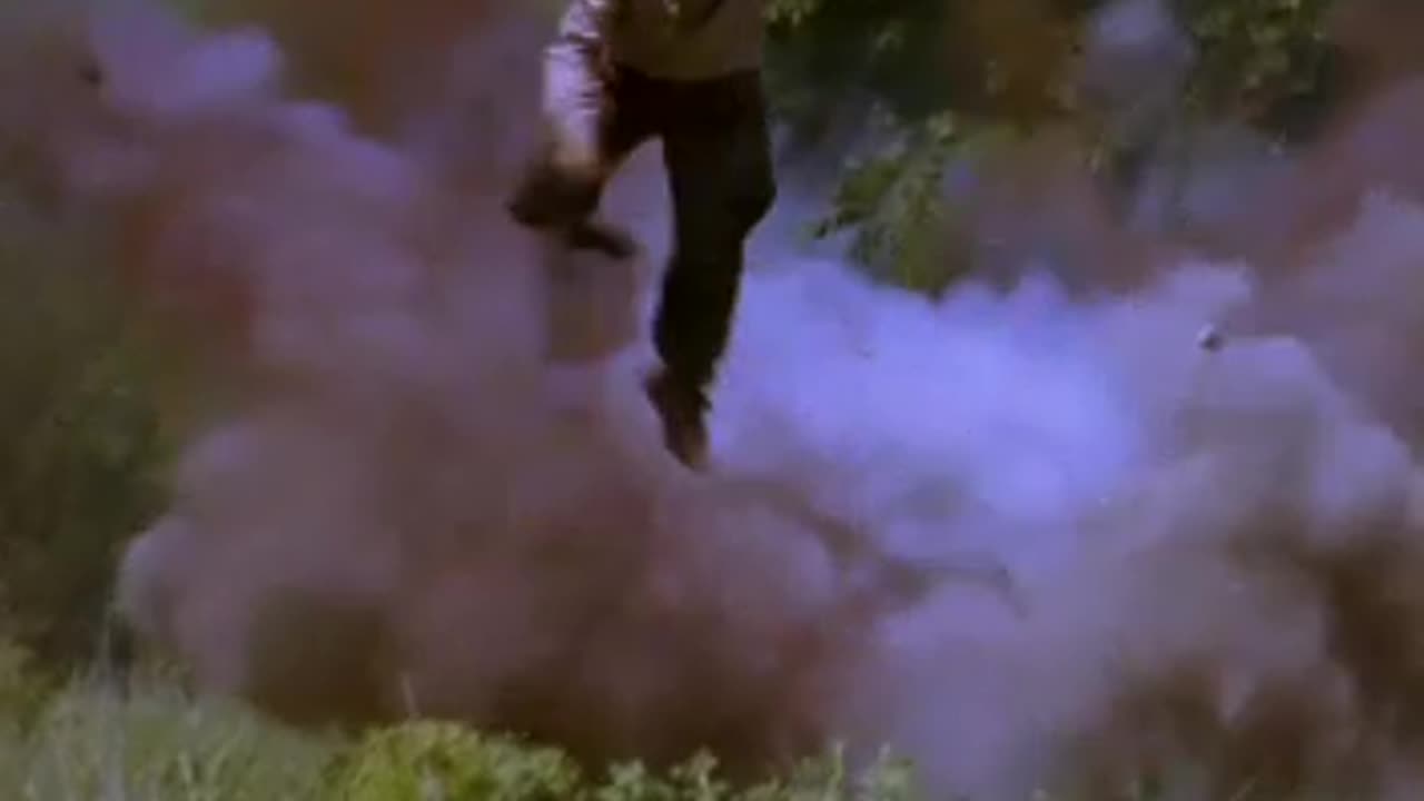 Action P.A.C. Air Rams