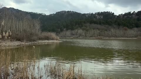 😊 244 CADA PENSAMIENTO ES UNA SEMILLA… 😊