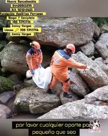 Rescate perro Piedecuesta