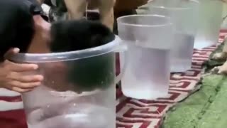 😂🤫 You Won't Believe This Cheater's Move! | FunFM