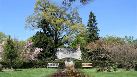 Whorley's Tree Service