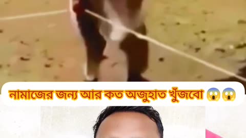 “Blind Man’s Faith – A Message for Us 🕌💔”