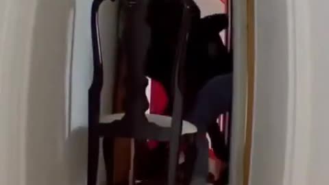 Fake asylum seekers in France pretend to be delivery boys and then break into a French mans house