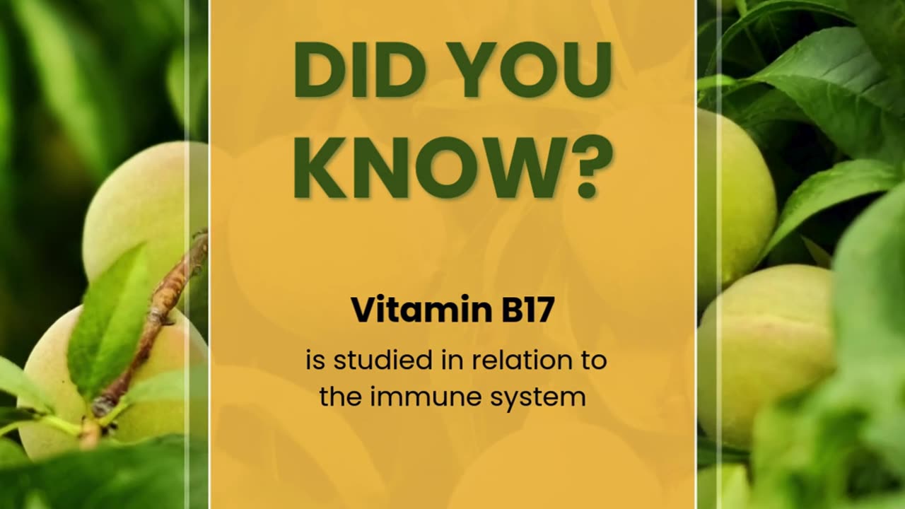 Vitamin B17 & the Immune System | An Educational Overview