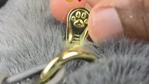 How To Keep A Cat Forever