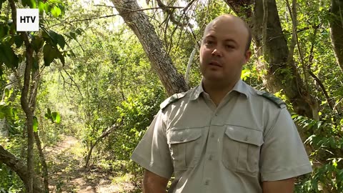 Glimpses of Earth’s Eternal Beauty