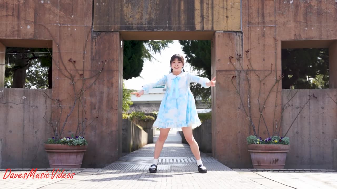 Bob Dylan. If Not For You