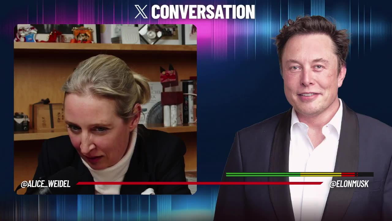 Alice Weidel conversation with Elon Musk