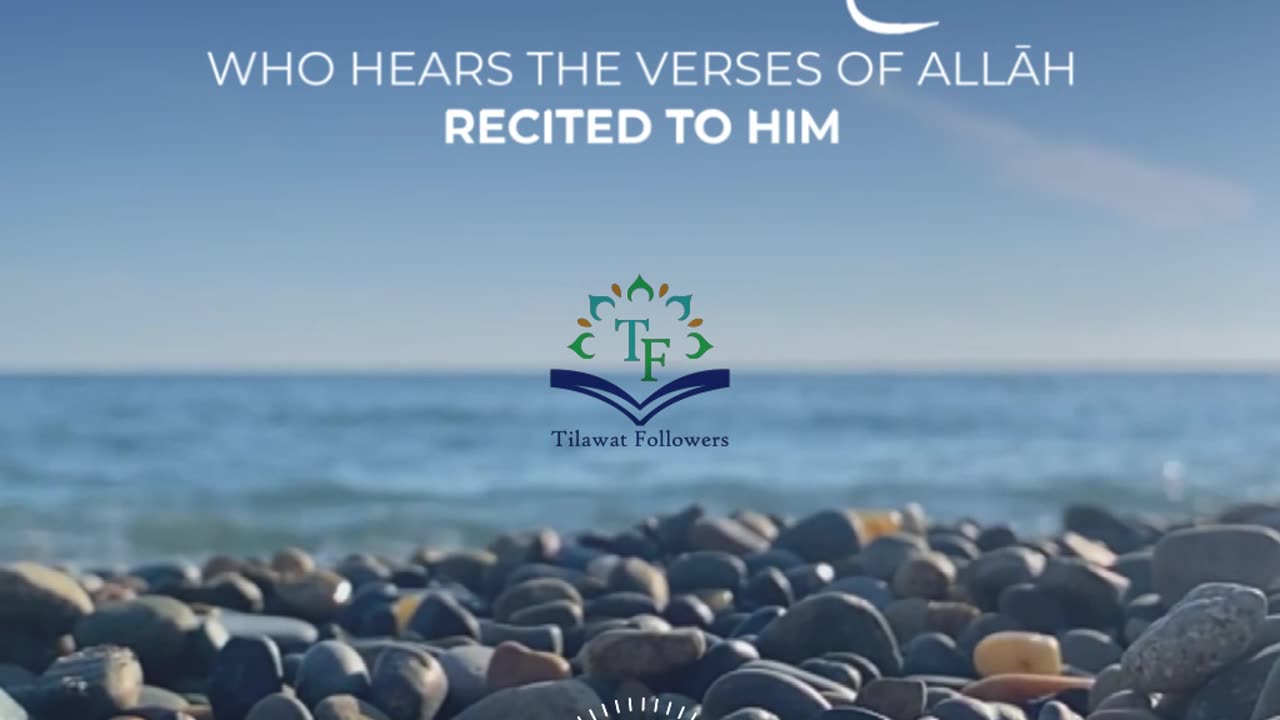 reciter Mishari Rashid al-`Afasy