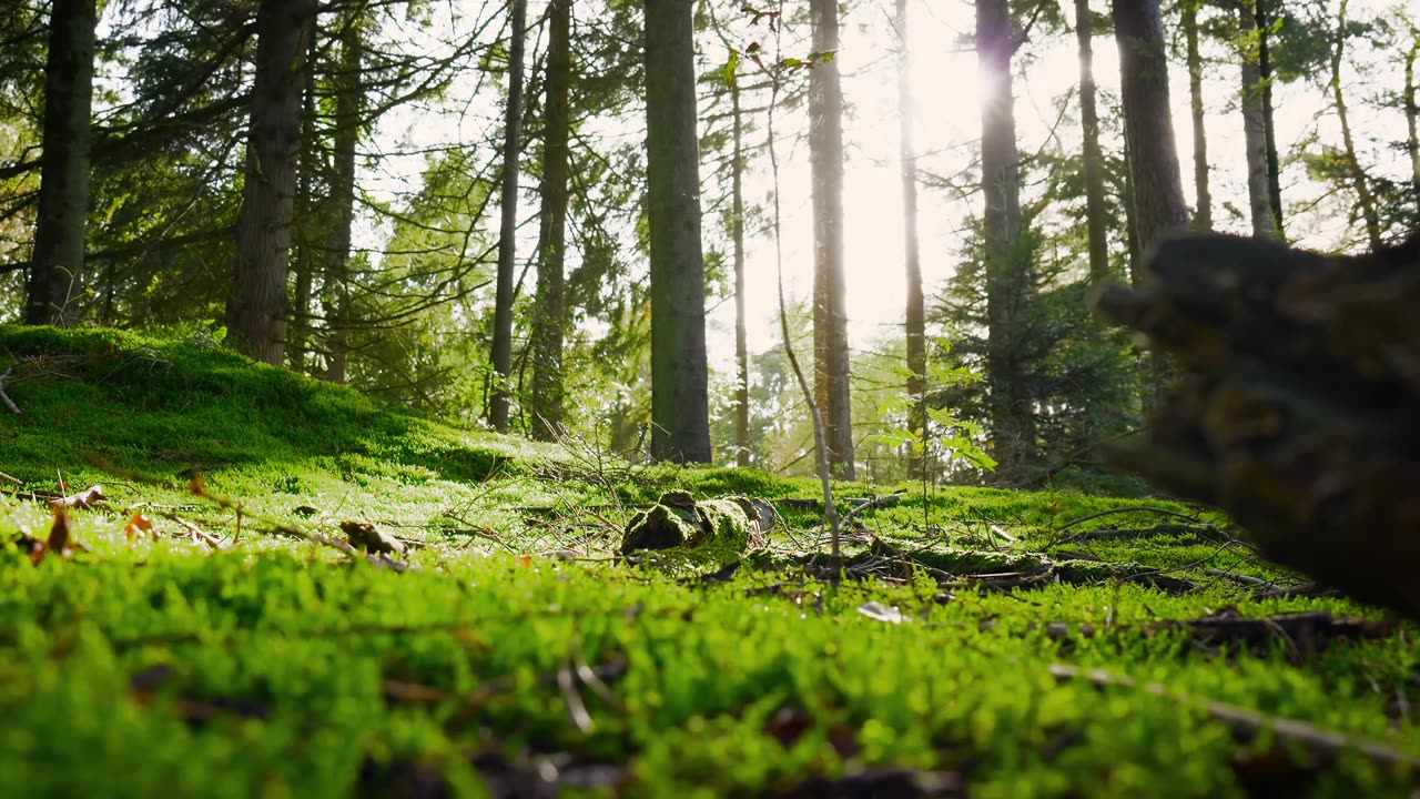 "Great things never come from comfort zones."