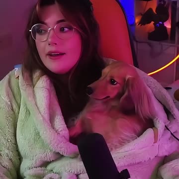 Funniest Animal Videos 😂 | Cute & Hilarious Pets Compilation!