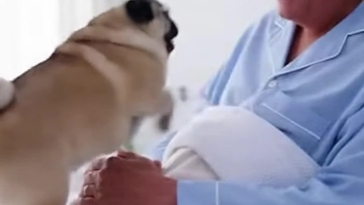 Heartwarming: Puppy Saves Elderly Man