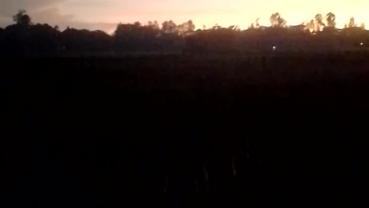Bolg video