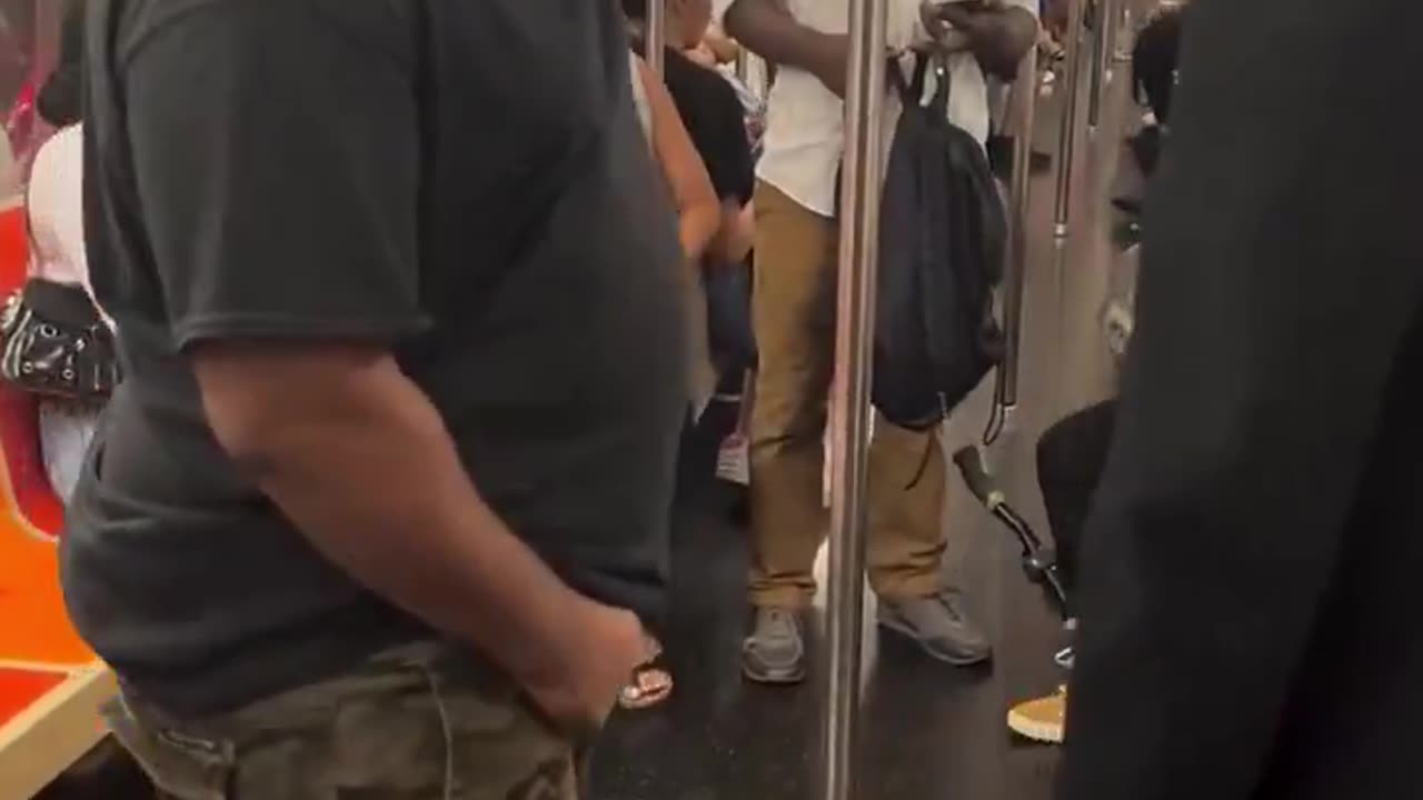 Why we can't have public transportation