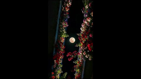 #foryoupage#viralvideo