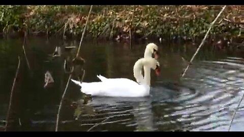 RECOGNIZING GOD'S OPEN DOORS - DAILY DEVOTIONAL ❤️