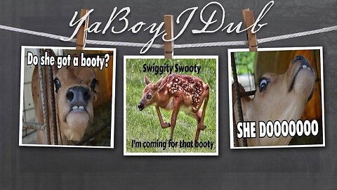 YaBoyJDub - Swiggity Swooty (I'm Coming For That Booty) ＊MeMe Rap＊ [XfqHccJ-6Js]