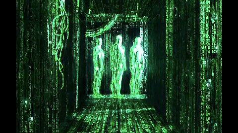 THE REAL MATRIX INSIDE YOUR NEO-CORTEX