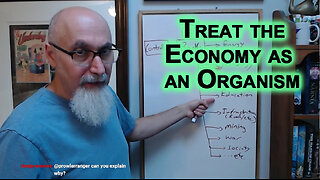 Treat Economy as Organism, Different Functioning Parts: Banks, Money Velocity, Energy, Gold/Silver