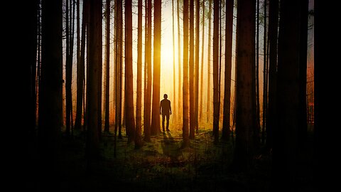 Have You Strayed From Jesus & Can't Find Your Way Back?
