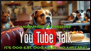 Loki's Mornings of Mischief YouTube Talk - It's Dog Eat Dog Make No Mistake!