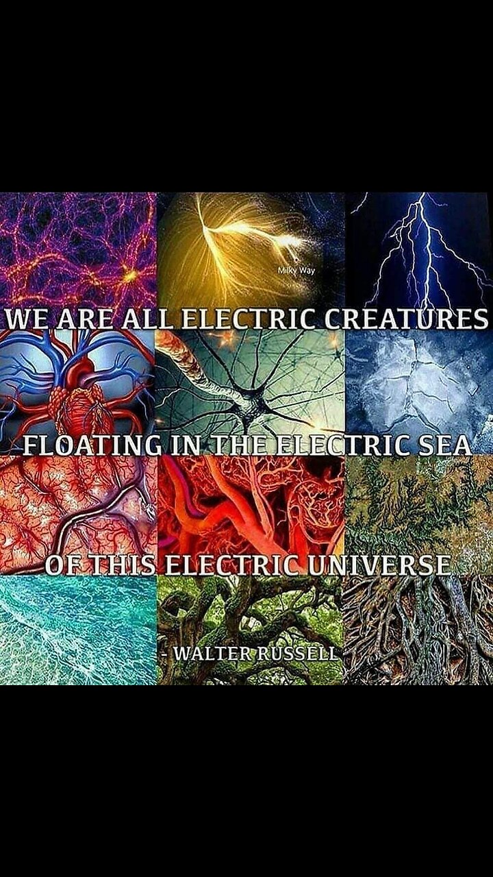 All Is Electromagnetism: A Deep Exploration of Energy, Consciousness, and the Fabric of Reality