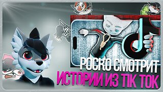 🐺 Роско смотрит Solek - Жуткие истории из Tik Tok